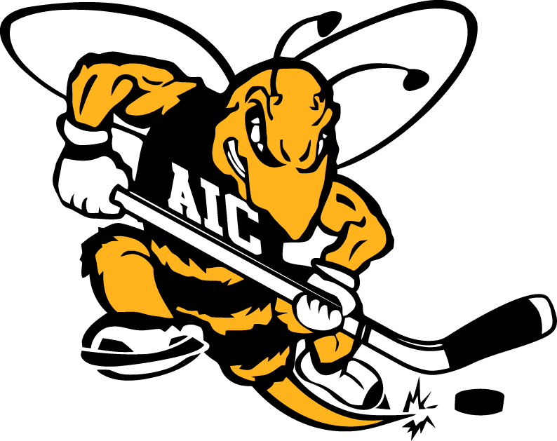 aic yellow jackets 2009-pres alternate logo v8 iron on transfers for T-shirts